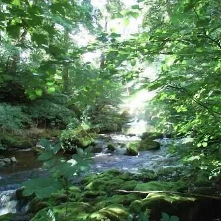 Wallace Lane Farm Bed and breakfast Westward