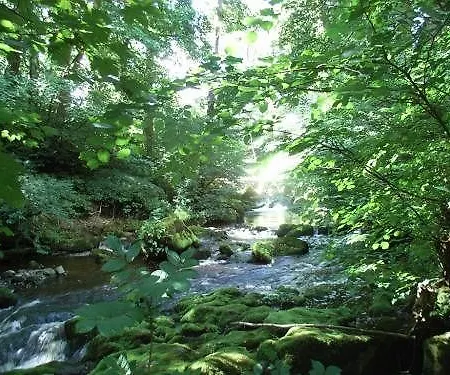 Bed & Breakfast Wallace Lane Farm 4*