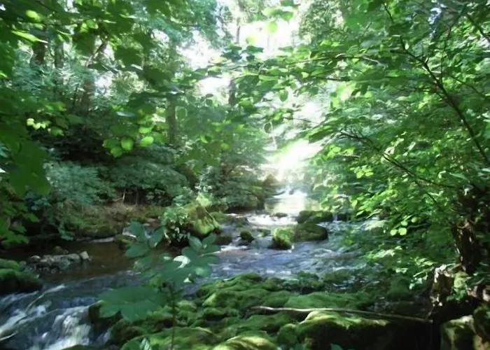 Wallace Lane Farm Panzió Westward